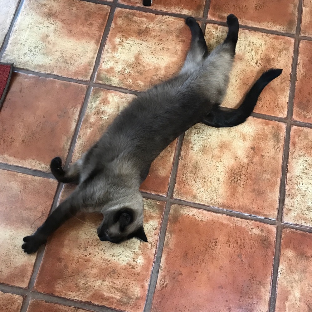 Meet your Posher, Deborah